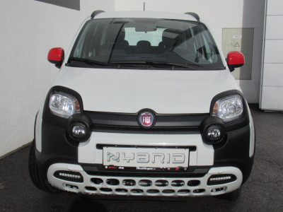 Fiat Panda Gebrauchtwagen Fiat Panda Gebrauchtwagen