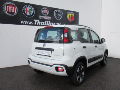 Fiat Panda Gebrauchtwagen Fiat Panda Gebrauchtwagen