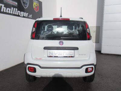 Fiat Panda Gebrauchtwagen Fiat Panda Gebrauchtwagen