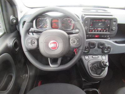 Fiat Panda Gebrauchtwagen Fiat Panda Gebrauchtwagen