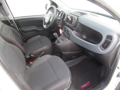 Fiat Panda Gebrauchtwagen Fiat Panda Gebrauchtwagen