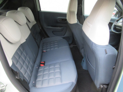 Fiat Grande Panda Tageszulassung