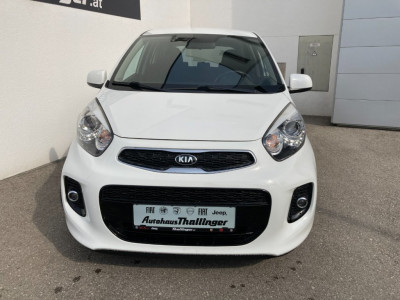 KIA Picanto Gebrauchtwagen KIA Picanto Gebrauchtwagen