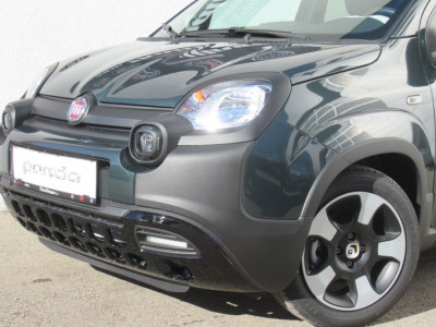 Fiat Pandina Neuwagen