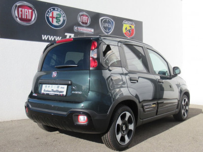 Fiat Pandina Neuwagen
