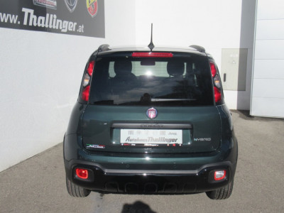 Fiat Pandina Neuwagen