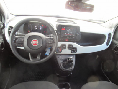 Fiat Pandina Neuwagen