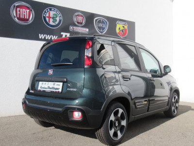 Fiat Pandina Neuwagen