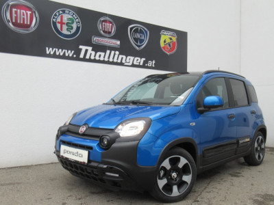 Fiat Pandina Neuwagen