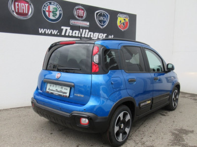Fiat Pandina Neuwagen