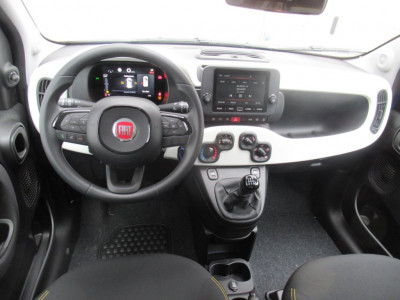 Fiat Pandina Neuwagen