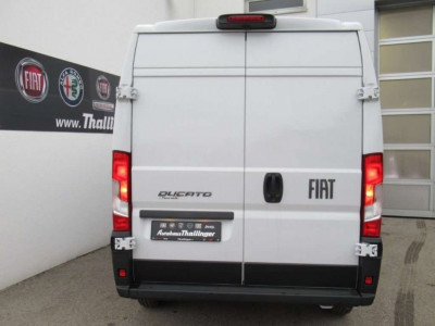 Fiat Ducato Vorführwagen Fiat Ducato Vorführwagen
