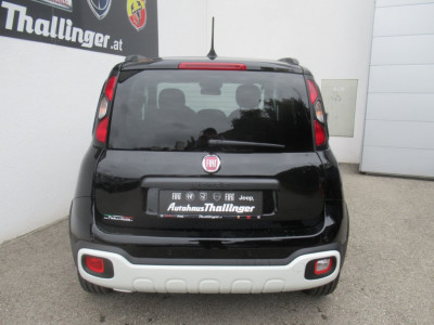 Fiat Pandina Vorführwagen