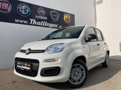 Fiat Pandina Gebrauchtwagen