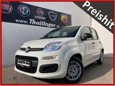 Fiat Pandina Gebrauchtwagen