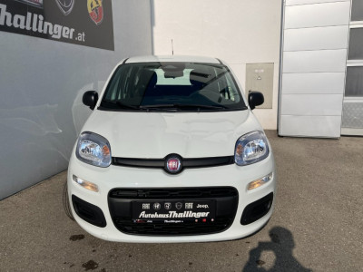 Fiat Pandina Gebrauchtwagen