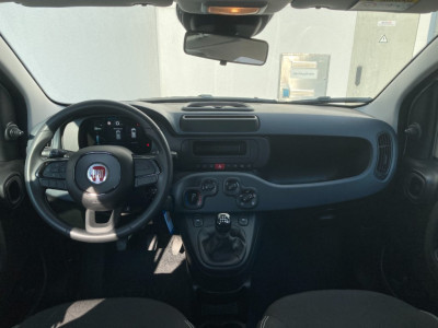 Fiat Pandina Gebrauchtwagen