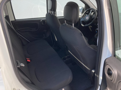 Fiat Pandina Gebrauchtwagen