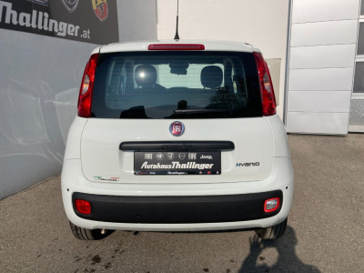 Fiat Pandina Gebrauchtwagen