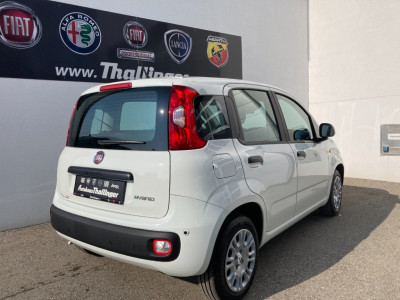 Fiat Pandina Gebrauchtwagen