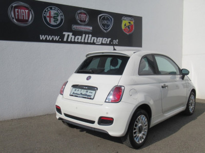 Fiat 500 Gebrauchtwagen