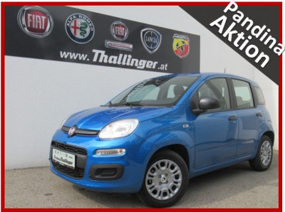Fiat Panda Gebrauchtwagen