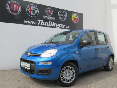 Fiat Panda Gebrauchtwagen