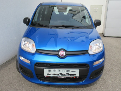 Fiat Panda Gebrauchtwagen