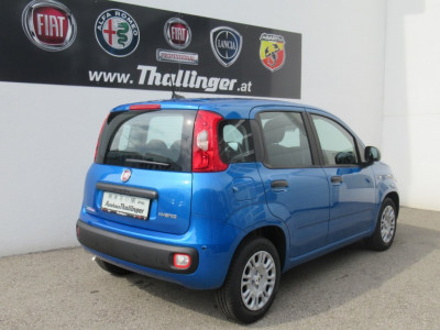 Fiat Panda Gebrauchtwagen