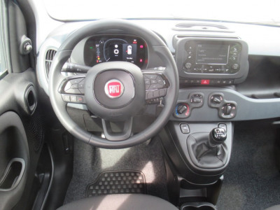 Fiat Panda Gebrauchtwagen