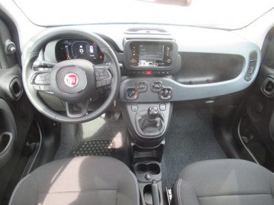 Fiat Panda Gebrauchtwagen