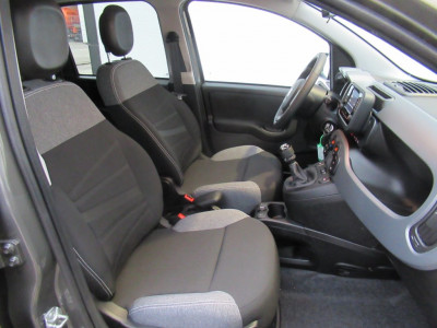 Fiat Panda Gebrauchtwagen Fiat Panda Gebrauchtwagen