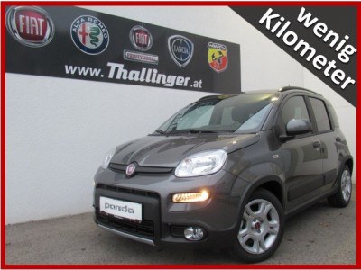 Fiat Panda Gebrauchtwagen