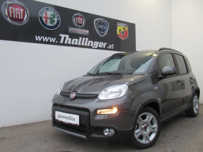 Fiat Panda Gebrauchtwagen Fiat Panda Gebrauchtwagen