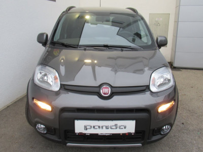Fiat Panda Gebrauchtwagen Fiat Panda Gebrauchtwagen