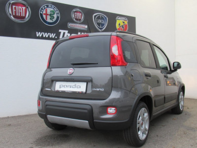 Fiat Panda Gebrauchtwagen Fiat Panda Gebrauchtwagen