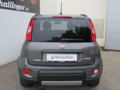 Fiat Panda Gebrauchtwagen Fiat Panda Gebrauchtwagen