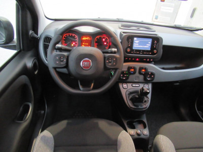 Fiat Panda Gebrauchtwagen Fiat Panda Gebrauchtwagen