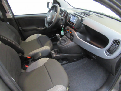 Fiat Panda Gebrauchtwagen Fiat Panda Gebrauchtwagen