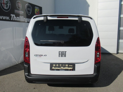 Fiat Doblo Gebrauchtwagen