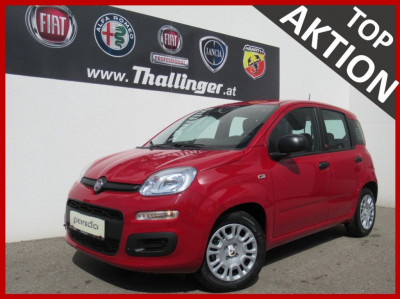 Fiat Pandina Neuwagen