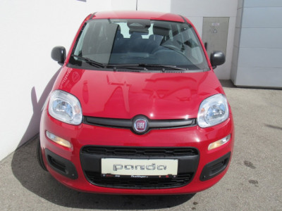 Fiat Pandina Neuwagen