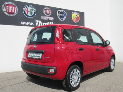 Fiat Pandina Neuwagen