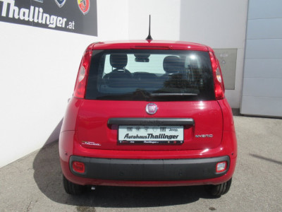 Fiat Pandina Neuwagen