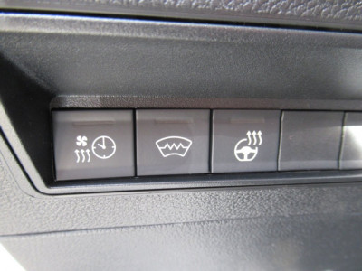 Fiat Doblo Vorführwagen