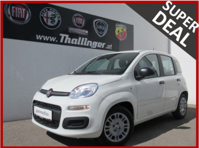 Fiat Pandina Neuwagen