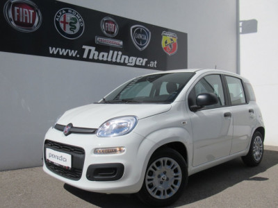 Fiat Pandina Neuwagen