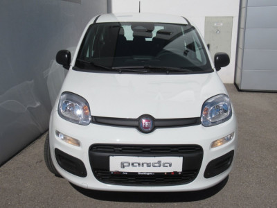 Fiat Pandina Neuwagen