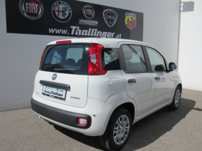 Fiat Pandina Neuwagen