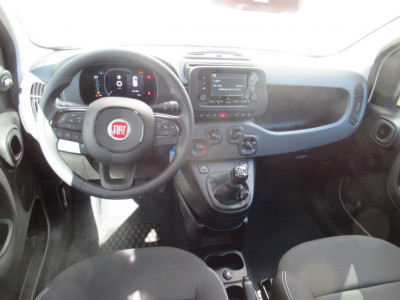 Fiat Pandina Neuwagen